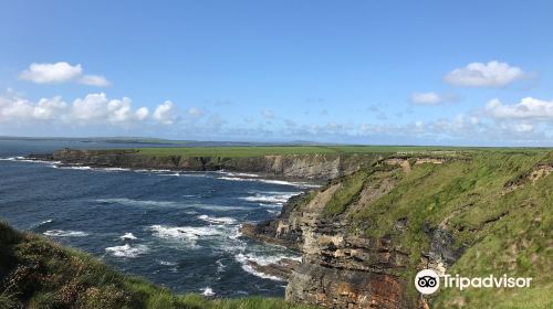 Bromore Cliffs