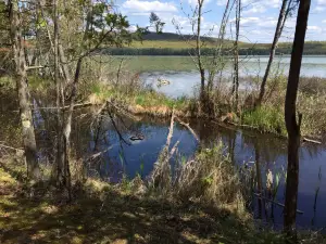 Fumee Lake Natural Area