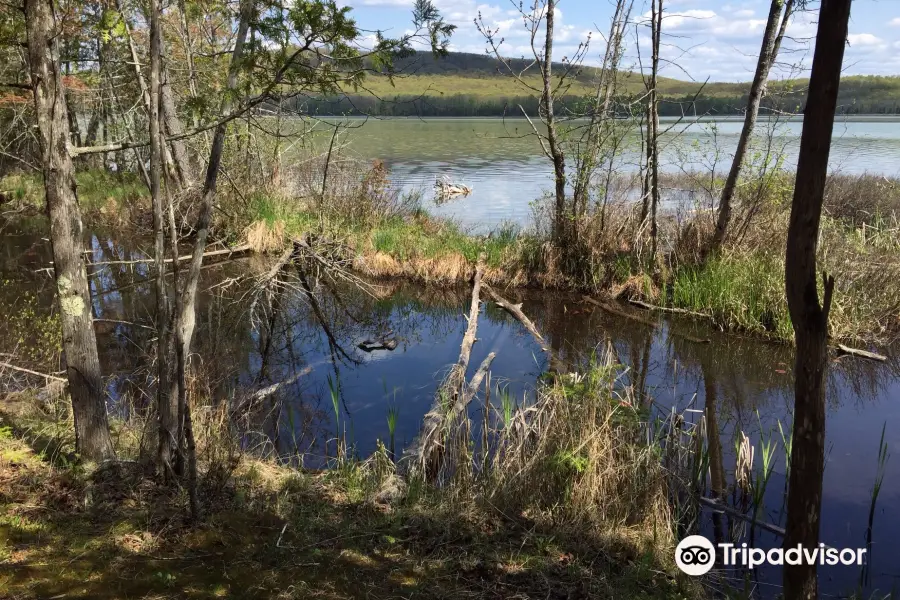 Fumee Lake Natural Area