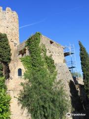 Castell de Ribes