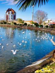 Lahijan Lake