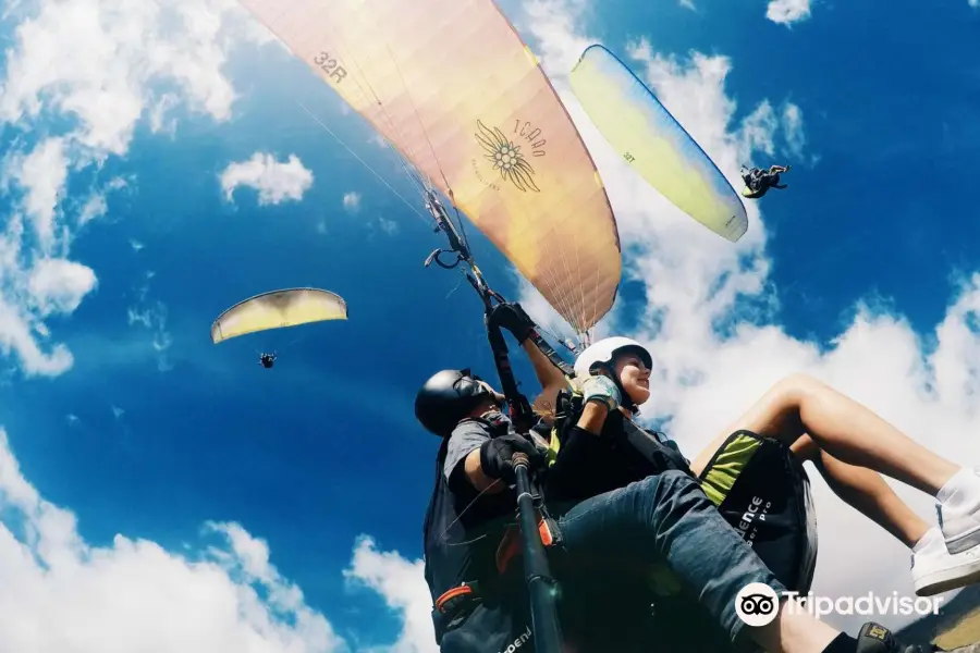 Wanaka Paragliding