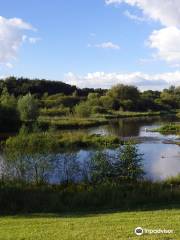 Mill Green and Hawks Green Valley Nature Reserve