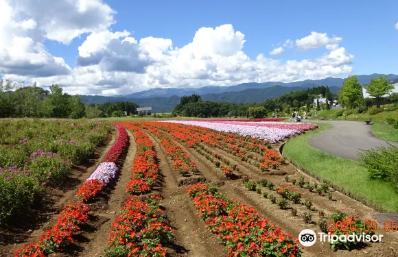 牧歌之裏門票小童（4歲以上的小學生）