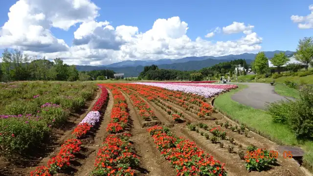 Hotels near Bokka no Sato
