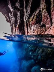 Haliotis Dive Center Faial