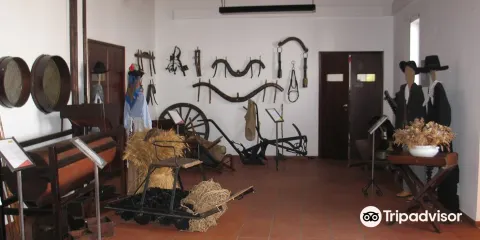 Museu de Vila Nova de S. Bento