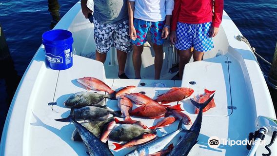 Madfish Charters