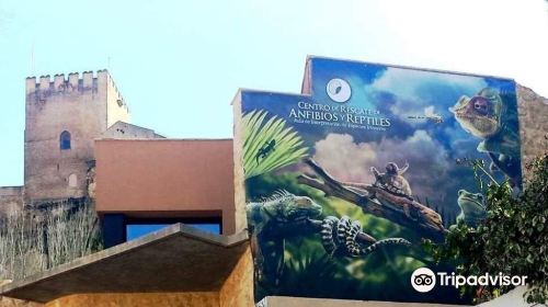 Centro de Rescate de Anfibios y Reptiles