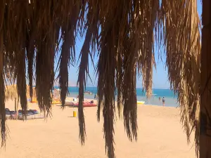 Adrenaline Beach Park