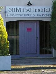 Shiatsu Institut