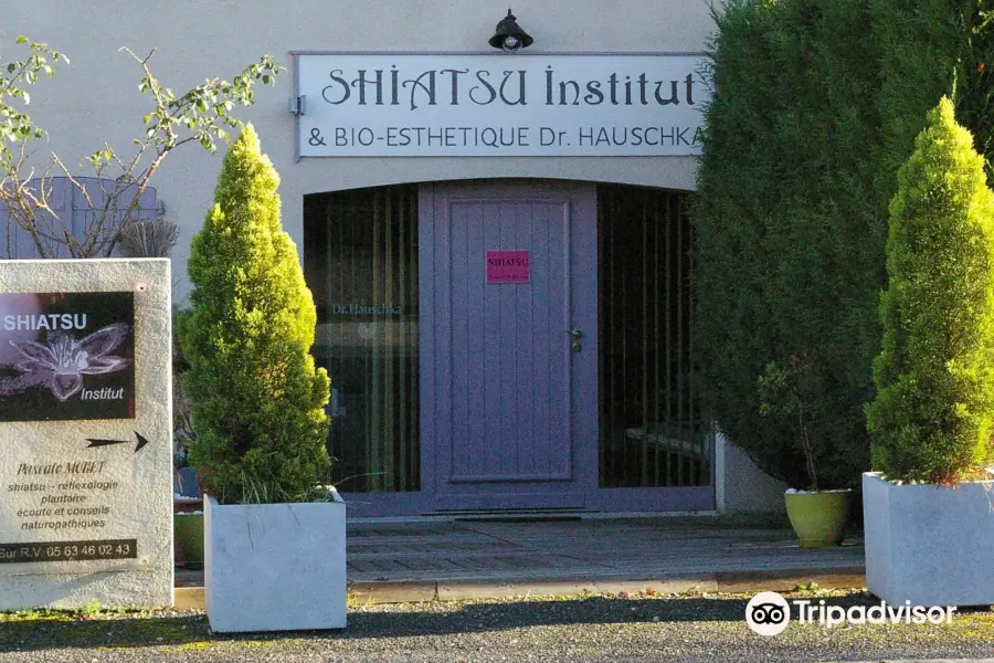 Shiatsu Institut