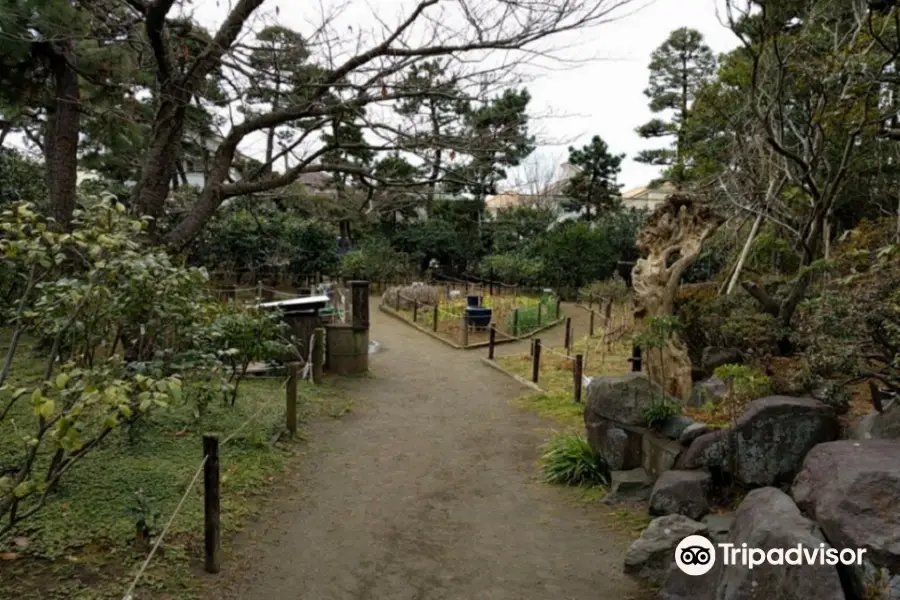 Himuro Tsubaki Garden
