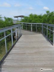 Oso Bay Wetlands Preserve & Learning Center
