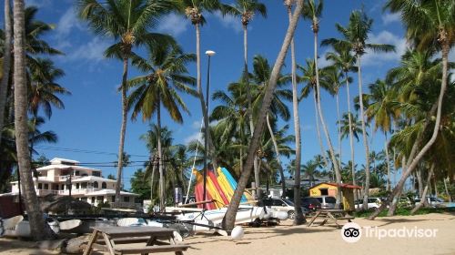 Playa Las Ballenas