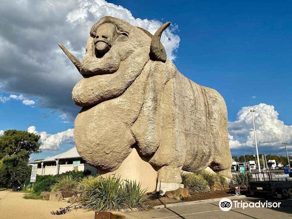 The Big Merino