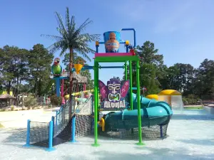 Hurricane Harbor Splashtown