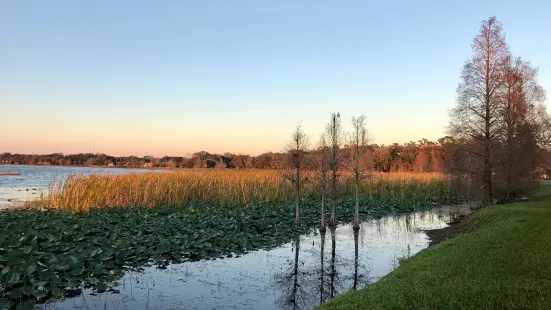 Lake Hollingsworth