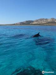 Centro Nautico Isola D'Ercole