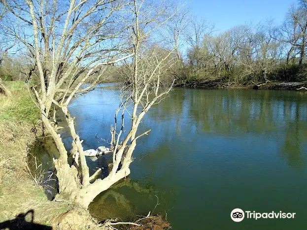 Amboy Road River Park