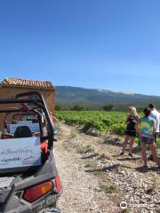 VMV Vignerons du Mont Ventoux