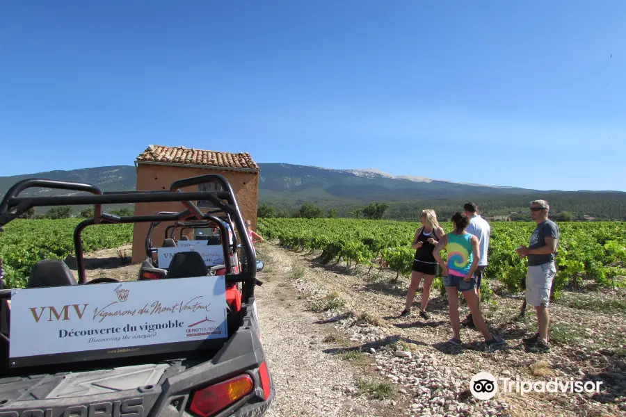 VMV Vignerons du Mont Ventoux