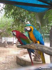 Bird Park