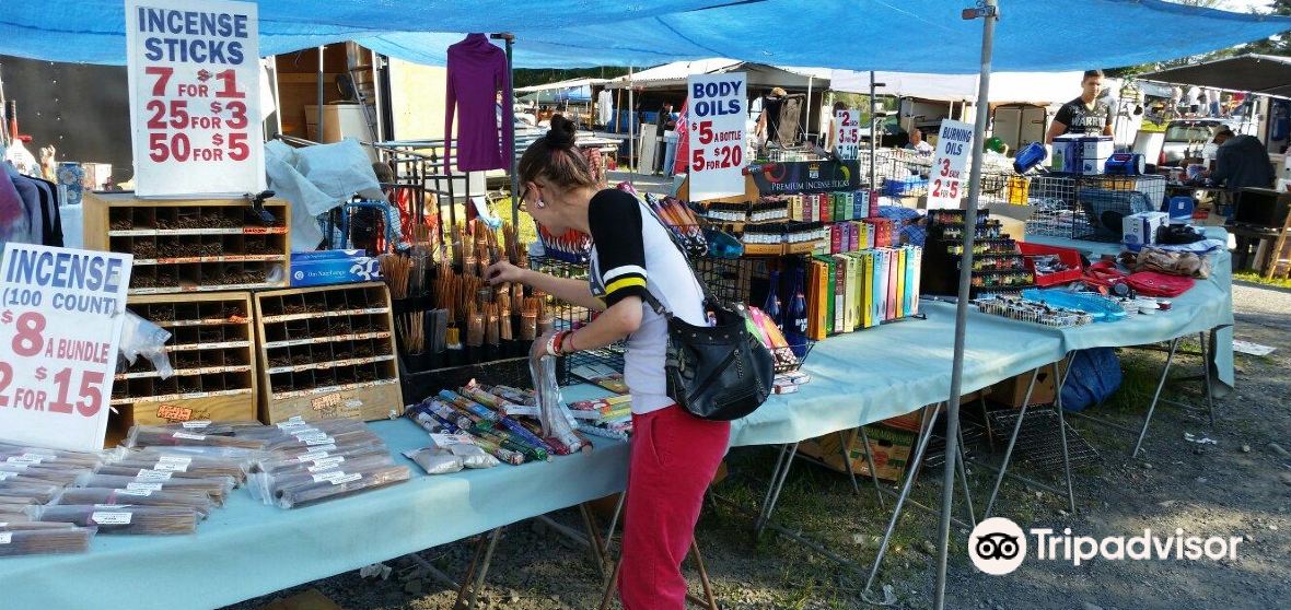 Things to Do in Saylorsburg in 2024 Top Attractions, Local Food