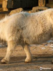 Zoologischer Garten Reichenberg