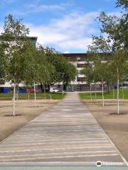 Barrowland Park