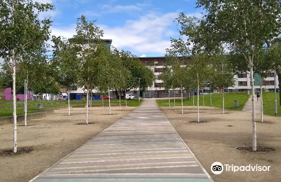 Barrowland Park