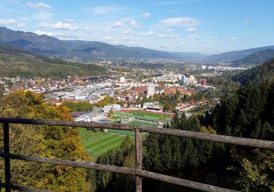 Burg Oberkapfenberg