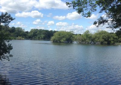 Loddon Nature Reserve