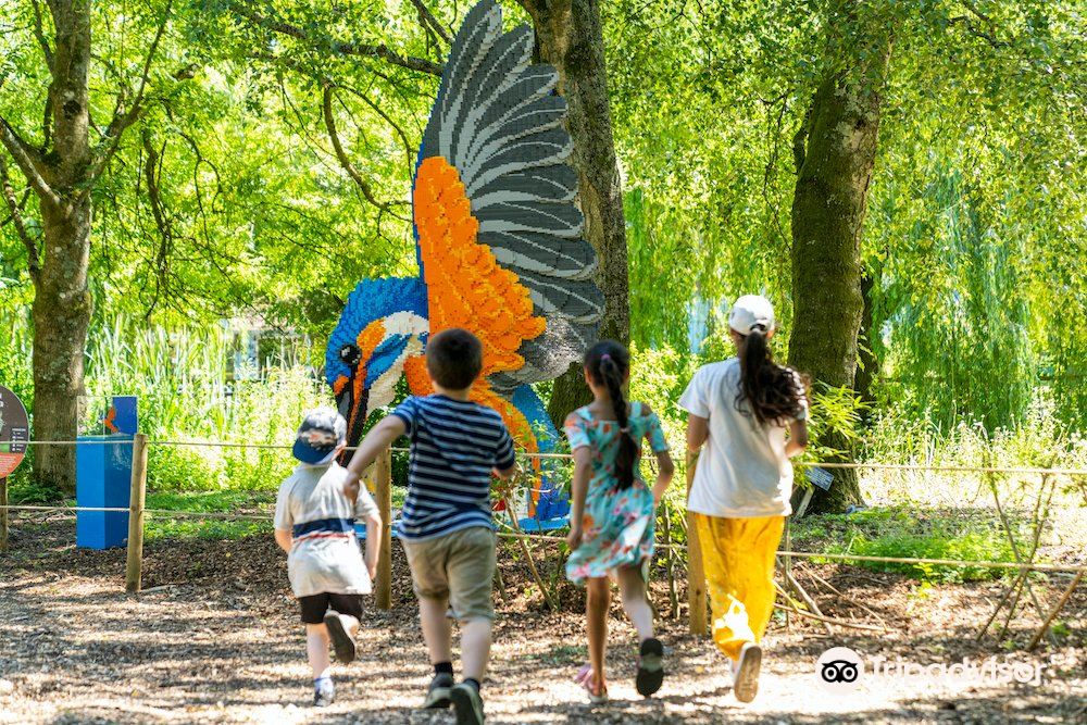 Marwell Zoo