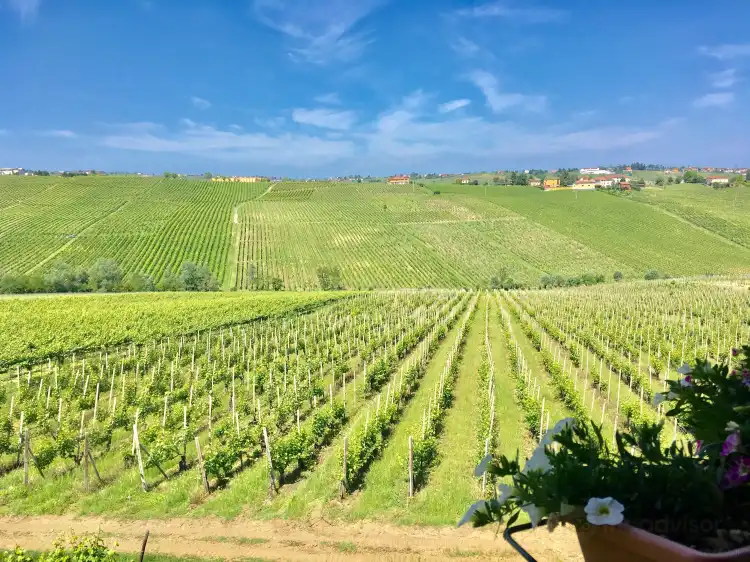 Hotels in Ziano Piacentino