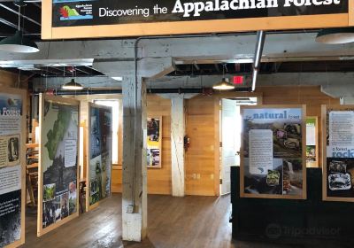 Appalachian Forest Discovery Center