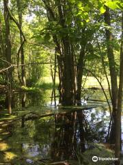 Ephraim Preserve at Anderson Pond