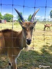 Bervie Zoological Park