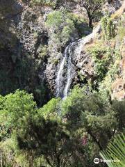 Charco De La Virgen