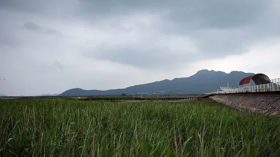 Gangjin Bay Ecological Park