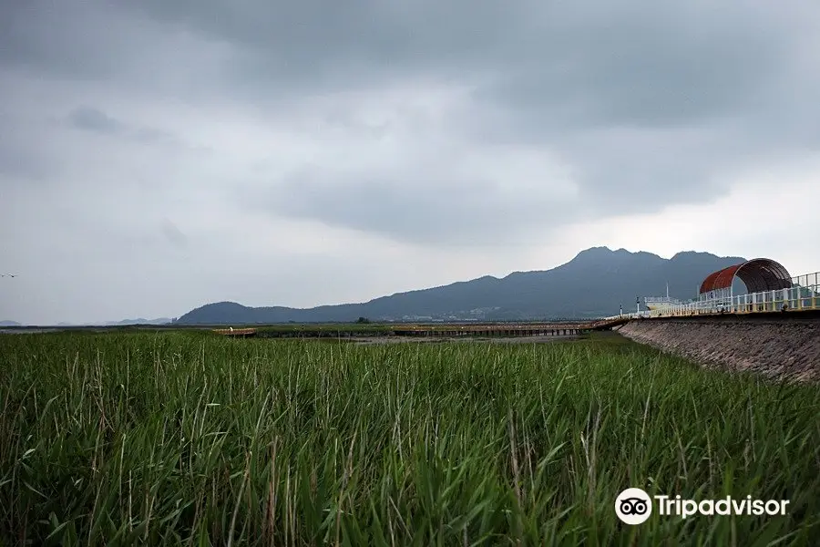 Gangjin Bay Ecological Park