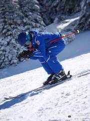 Italian Ski School of the Brenta Dolomites - Andalo