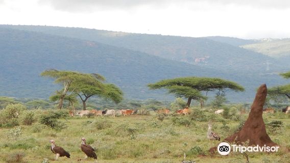 Yabelo Wildlife Sanctuary