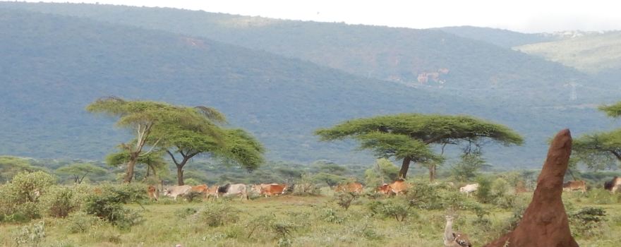 Yabelo Wildlife Sanctuary