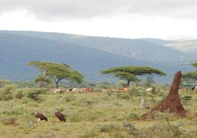 Yabelo Wildlife Sanctuary