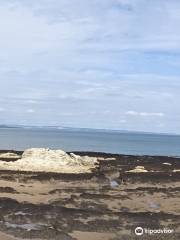 St Andrews West Sands Beach