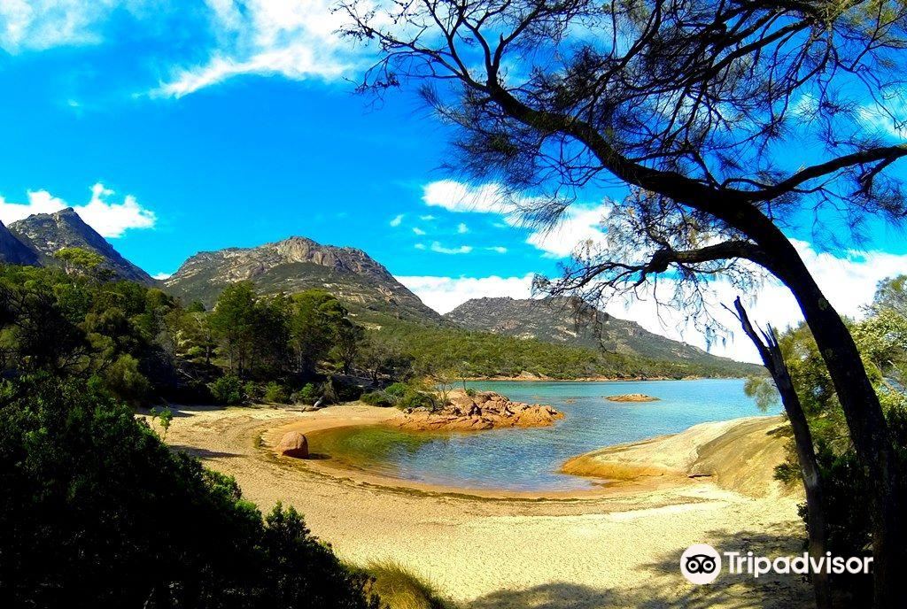 Freycinet