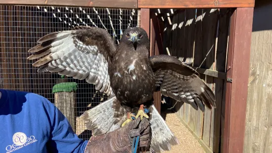 Eagle Valley Raptor Center