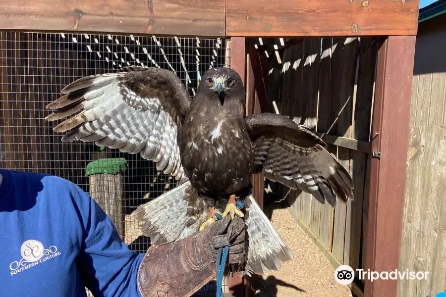 Eagle Valley Raptor Center