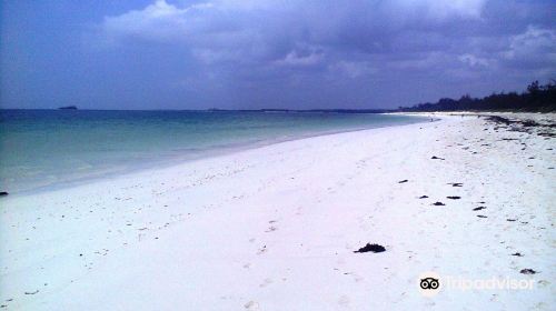 Spiaggia delle Tartarughe